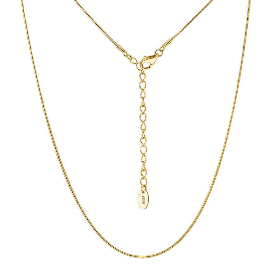 Gold Snake Chain Necklace – gold-plated necklace, front view